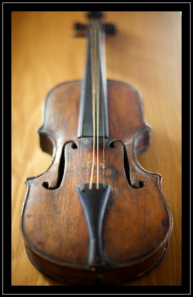 St Louis Strings Violin Shop in Dogtown – Dogtown Sports Collectibles, Framing & Engraving